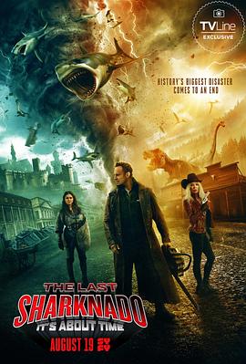 鲨卷风6：最后的鲨卷风 The Last Sharknado: It&#039;s About Time